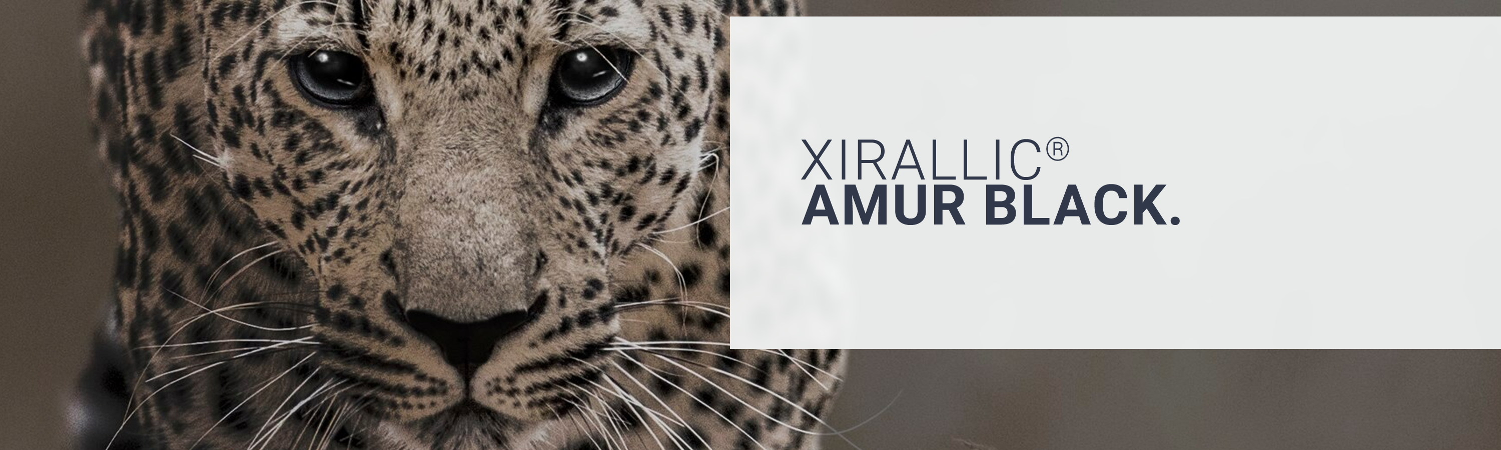 水晶珠光粉 Xirallic® NXT M260-70 SW Amur Black 捷豹黑灵感来源 水晶珠光粉 Xirallic® NXT M260-70 SW Amur Black 捷豹黑灵感来源