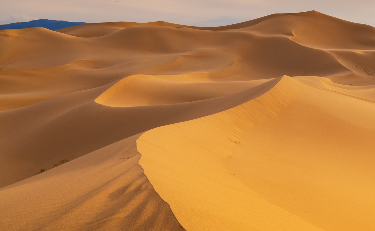 彩铝颜料Meoxal® F120-30 CWT Taklamakan Gold 塔克拉玛干沙漠金灵感与色彩效果展示